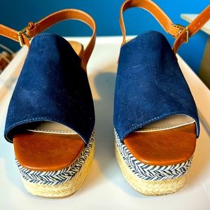 Navy Blue Wedges